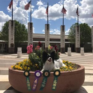 Meet your Posher, Heather